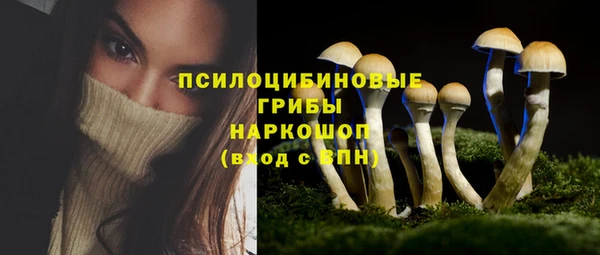 скорость Козловка