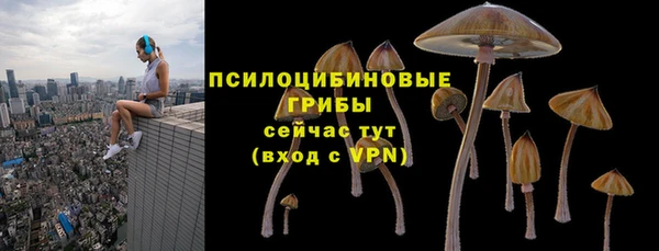 твердый Киреевск