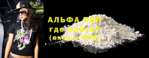 стафф Кодинск