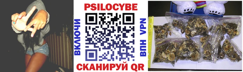 сколько стоит  Краснозаводск  Галлюциногенные грибы Psilocybe 